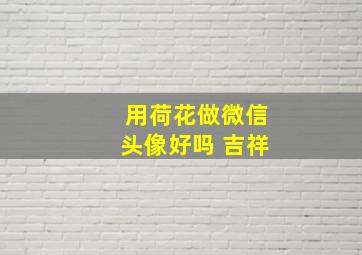 用荷花做微信头像好吗 吉祥